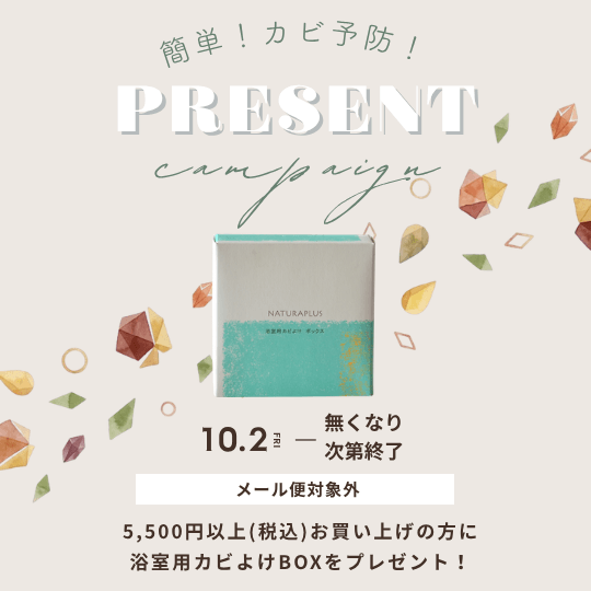 プレゼントキャンペーン開催中